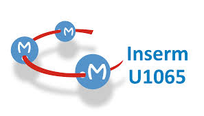 U1065 C3M