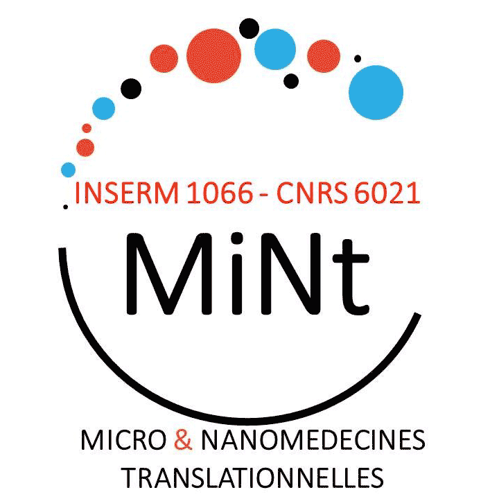 Logo MiNt