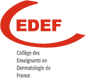 Logo CEDEF